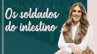 Os soldados do intestino